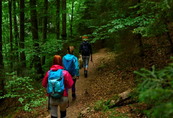 Three people walking along path surrounded by trees