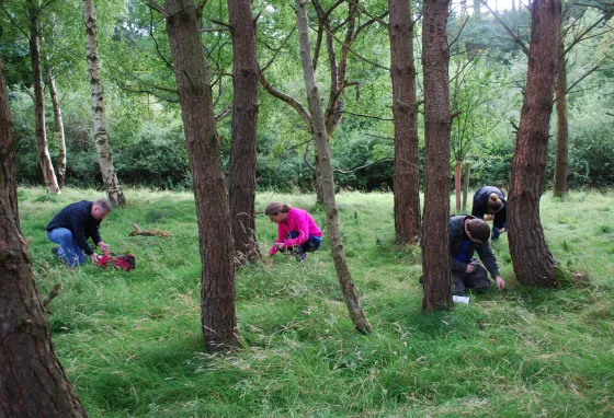 People foraging in a wood