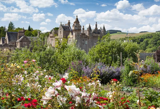 Gardens set to provide a green oasis Abbotsford from the garden