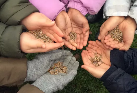 We can all make a difference Hands holding seeds