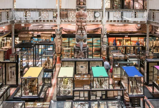Dynamic Collections: behind the scenes at Pitt Rivers