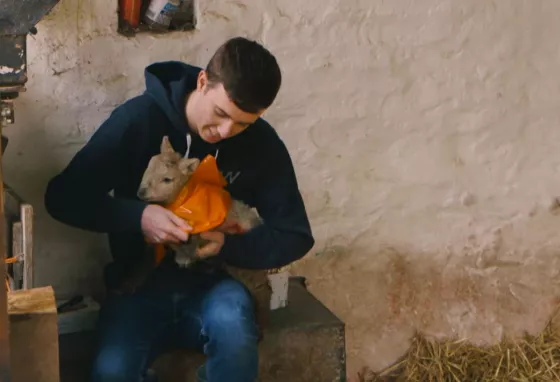 Boy holding a lamb