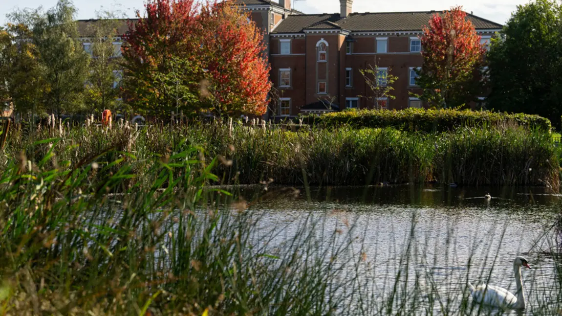 Forest Lane Park showing pond with wildlife, trees and historic building