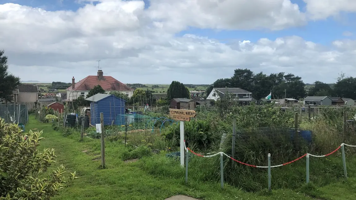 Community growing area with sheds, signpost, path and planting areas