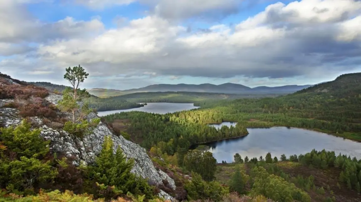 Cairngorms National Park