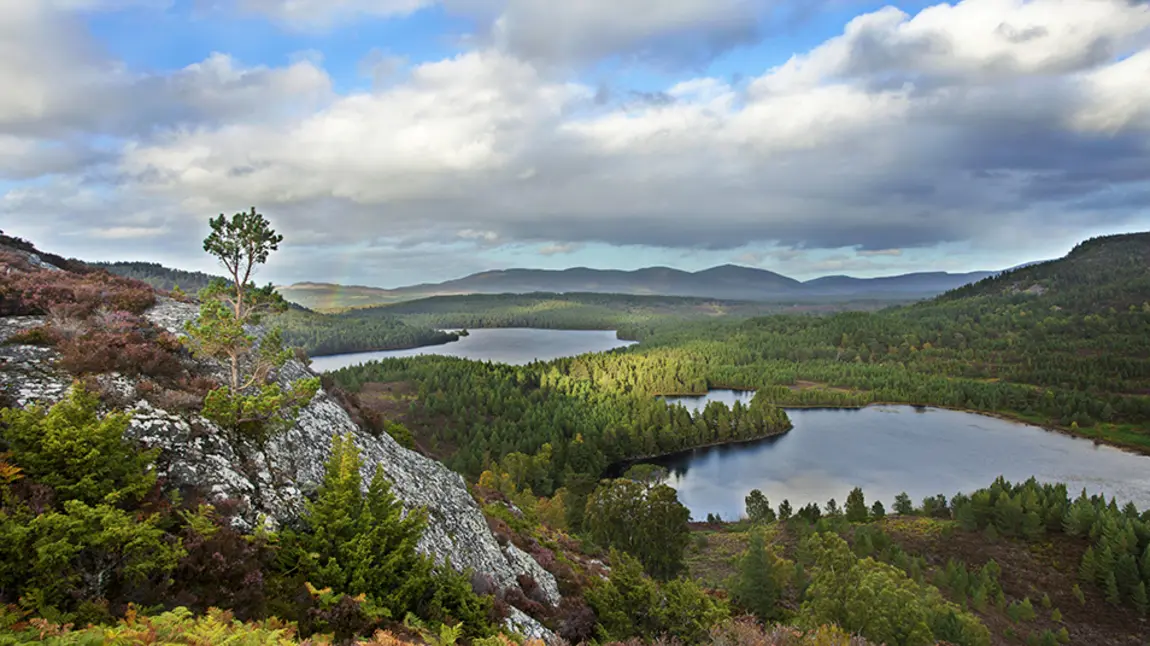 Park Cenedlaethol y Cairngorms