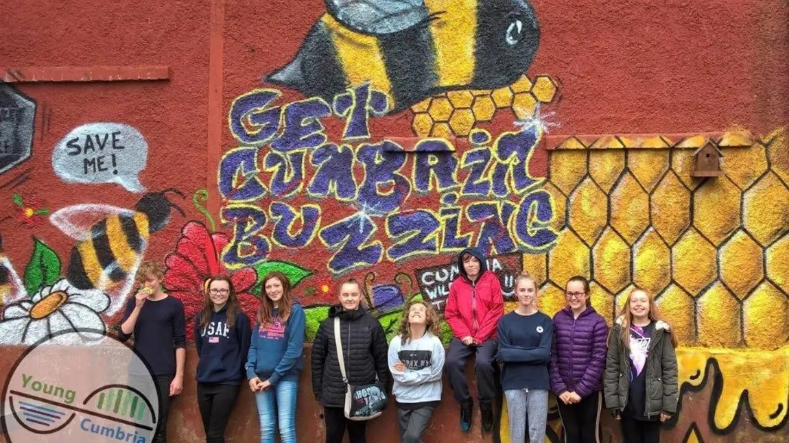 The Get Cumbria Buzzing project