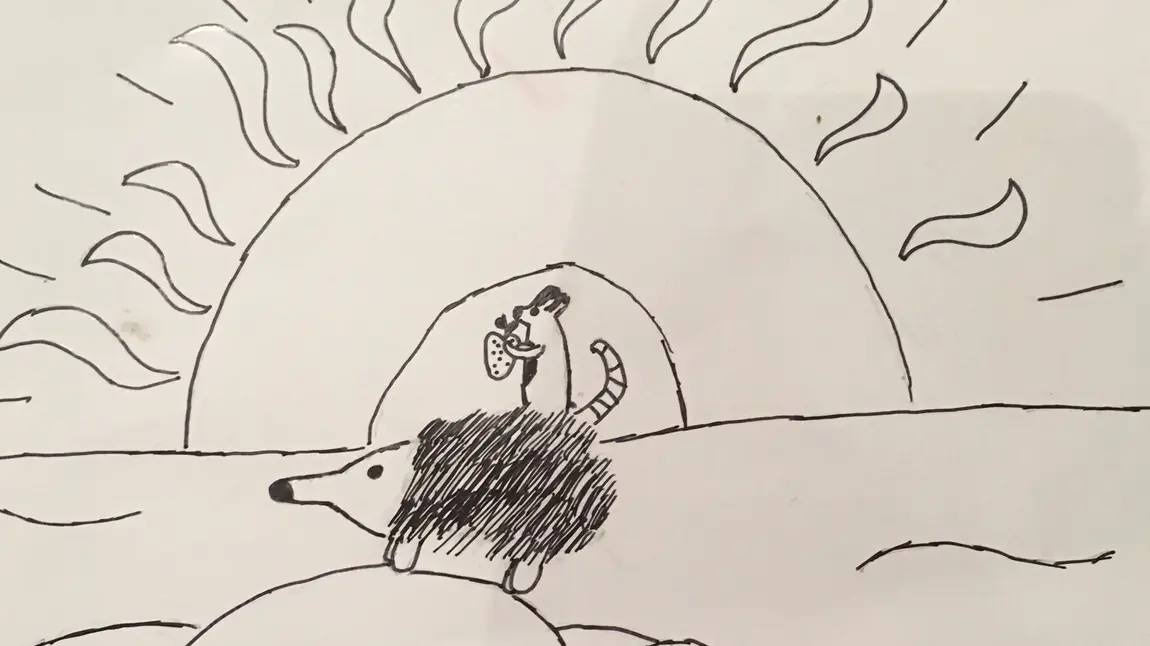 Hedgehog drawing 