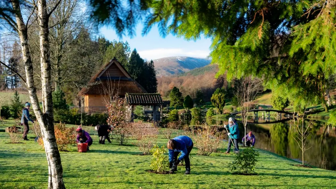 People landscaping in a Japanese garden in Scotland, with a mountain in the background.