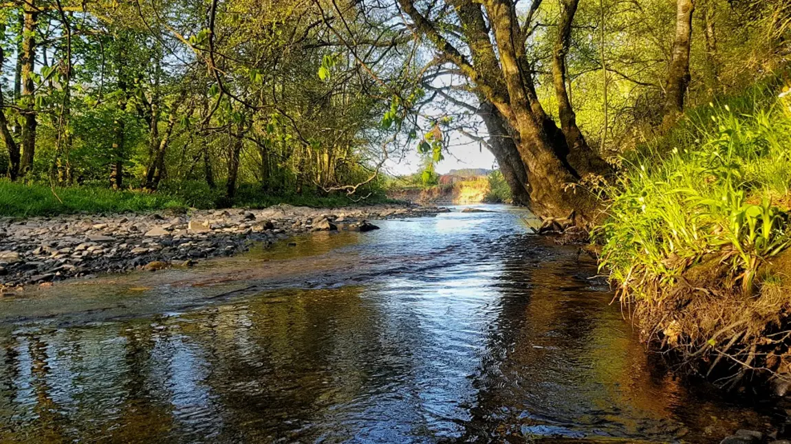 River running through Keltie Burn, Forth basin