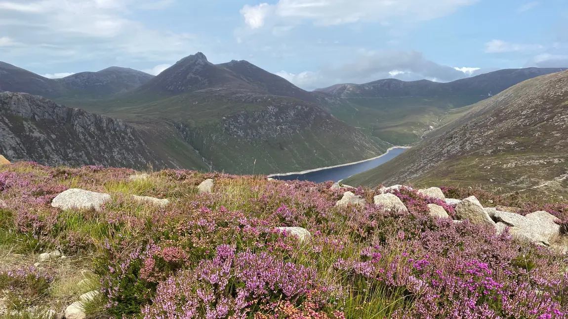 The Mournes