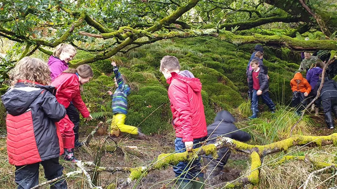 A group of children wearing wellies and coats explore a woodland