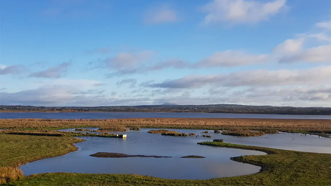 RSPB NI reopen nature reserves thanks to emergency funding RSPB NI Portmore Lough