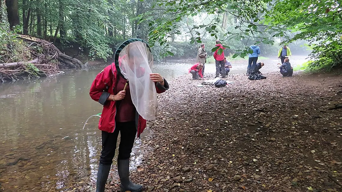 North York Moors communities to help revitalise Rye’s rivers