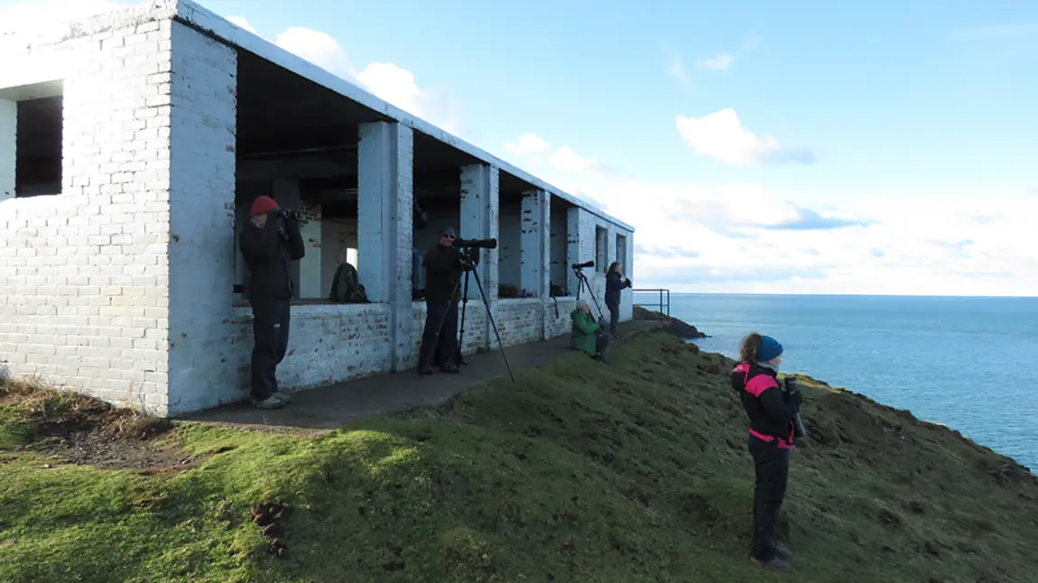 Worries fade away: volunteering on a wildlife project People looking out to see through lenses, from hut
