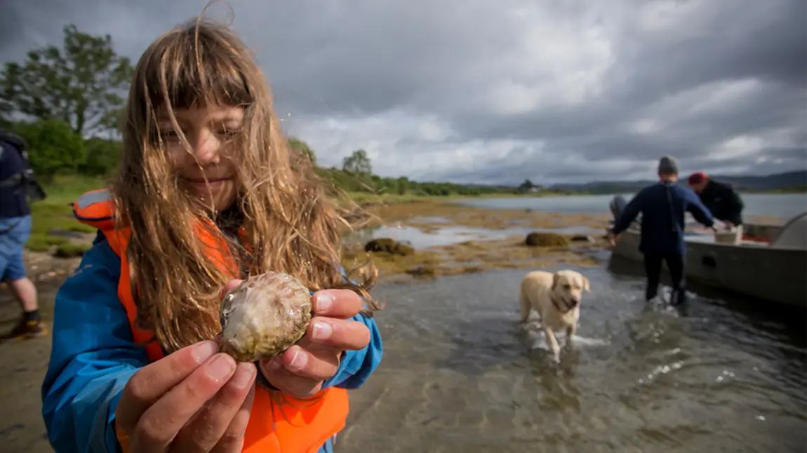 A girl holds up a native oyster by the loch