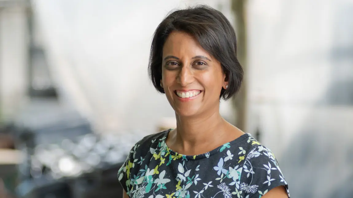 Vidhya Alakeson, CEO of Power to Change