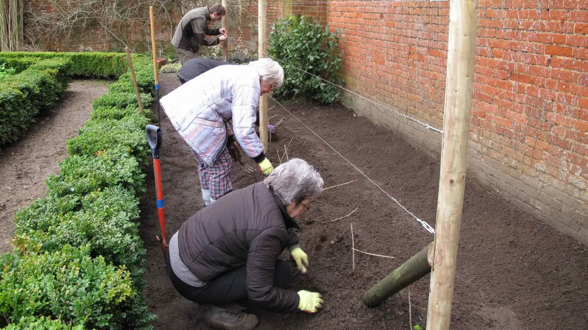 Four people tending to garden bed