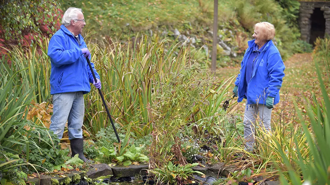 Volunteers in a park