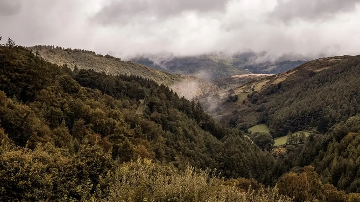 Woodland in a valley