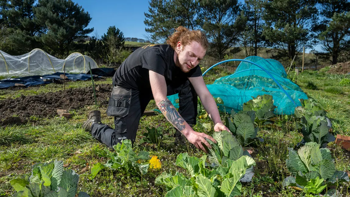 A man kneeling in a garden, tending to plants