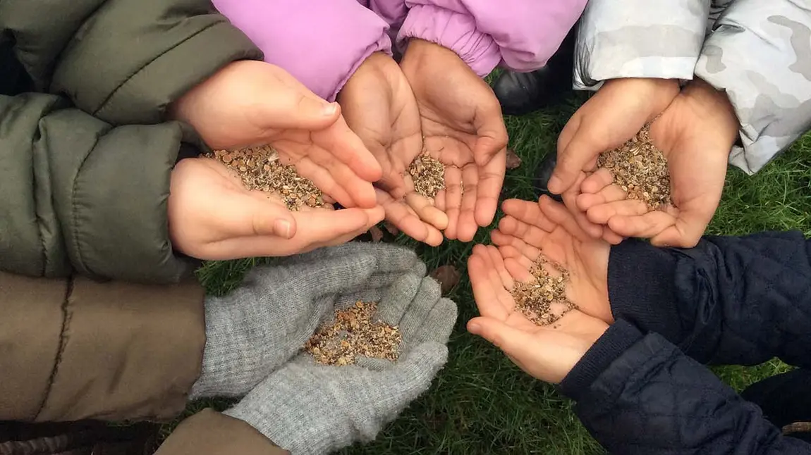 Hands holding seeds