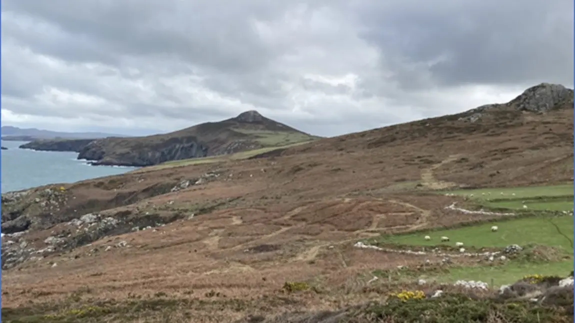 nl-21-00086_-_carn_perfdd_-_credit_james_roden.png Plants on a hillside