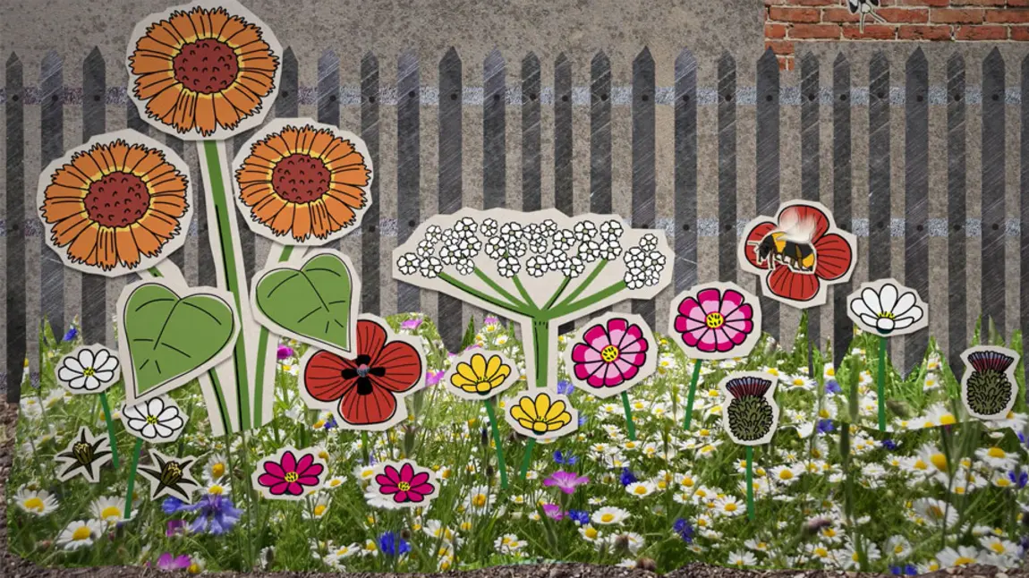 A still from the video showing an animation of wild meadow and pollinating bees.