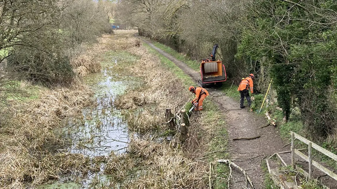 Workers chop down trees overhanging a stretch of overgrown canal