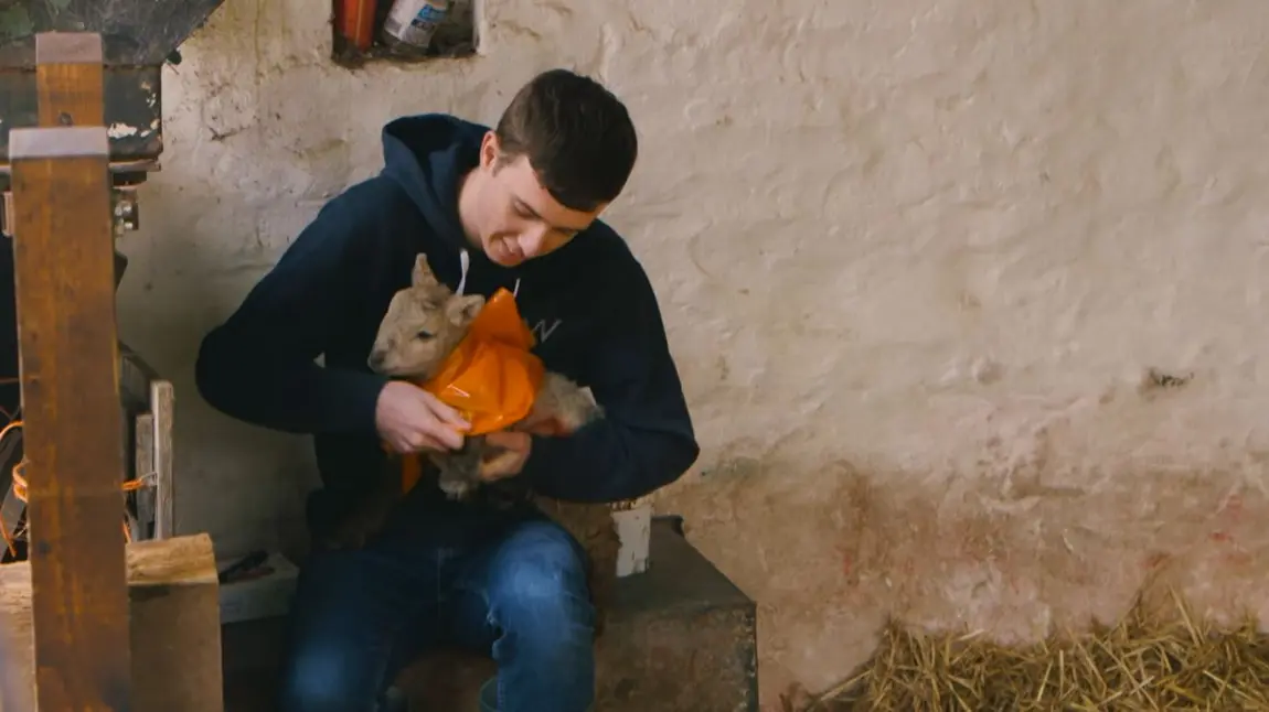 Boy holding a lamb