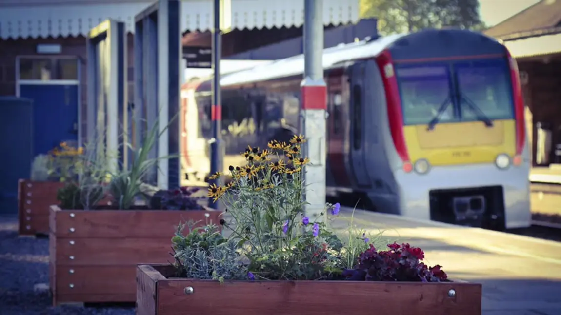 Wooden planters containing flowering plants on the platform of a train station.