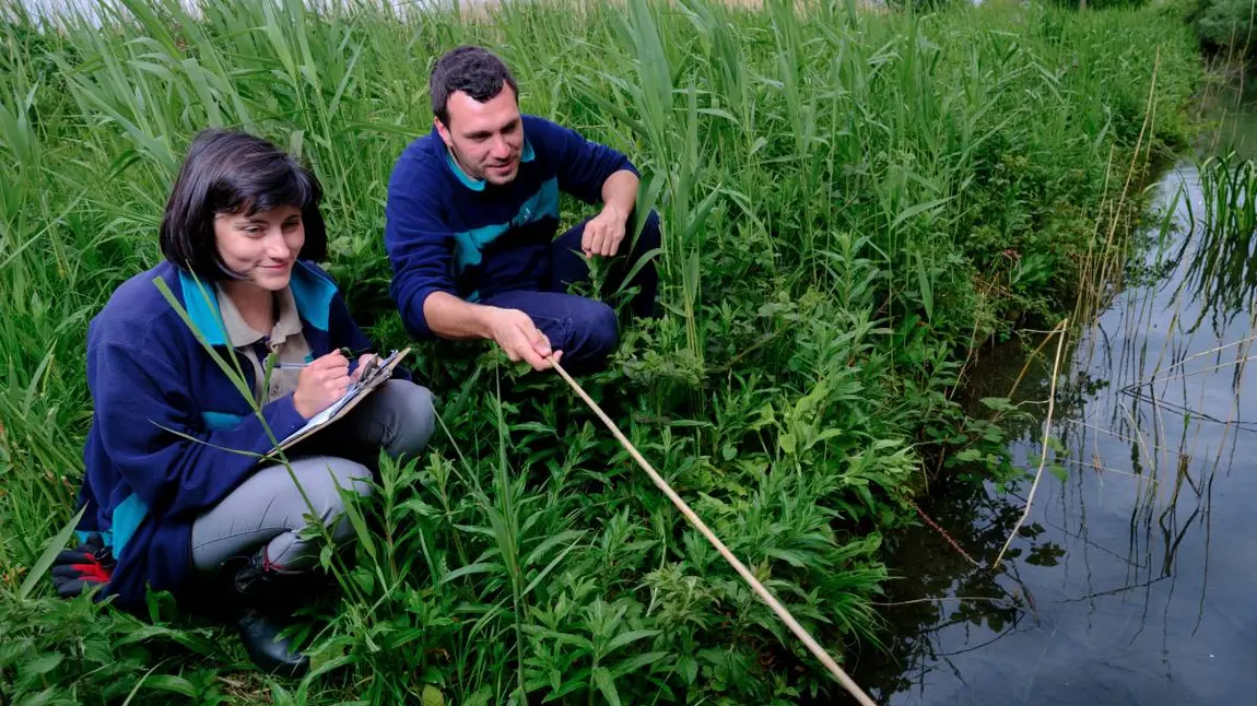 Two people on the bank of a waterway examining it and taking notes