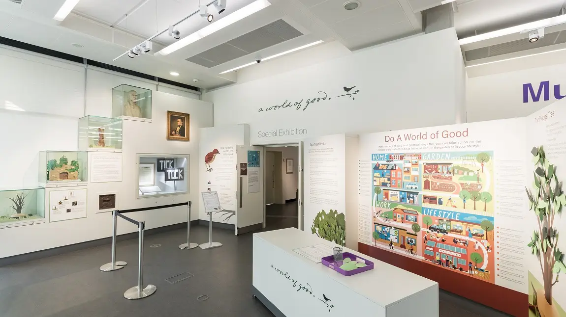 A brightly lit room with an exhibition including paper sculptures of birds and information panels