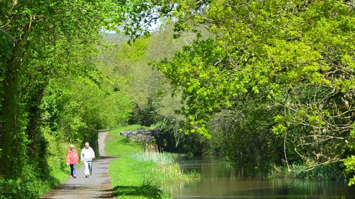 Canal path at Monmouthshire and Brecon Canal