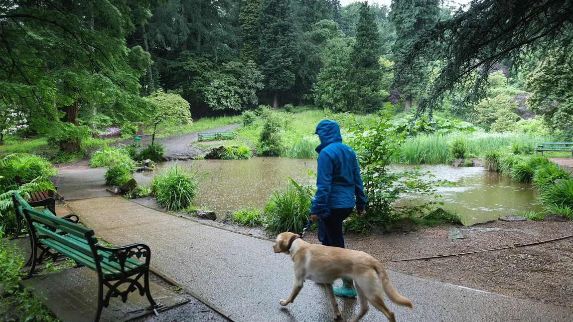 Parc Cefn Onn Menyw a chi yn mwynhau Parc Cefn Onn, Caerdydd