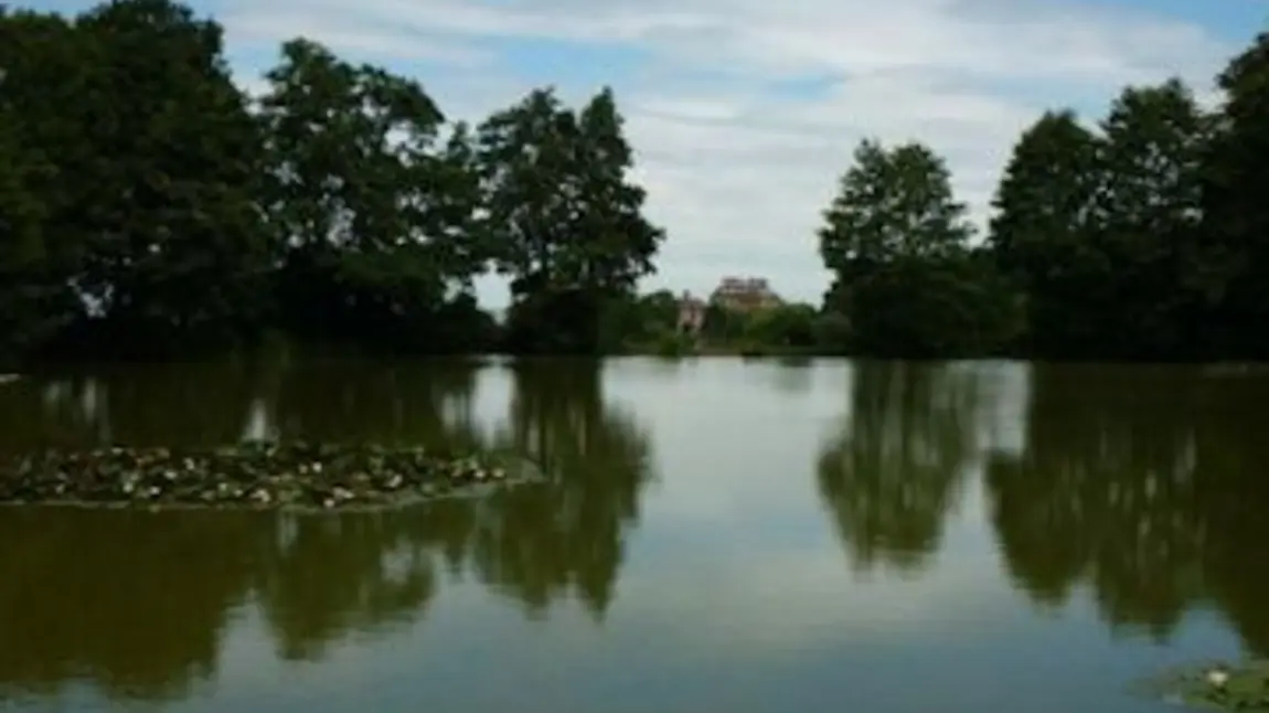 View overlooking the lake at Ampthill Great Park