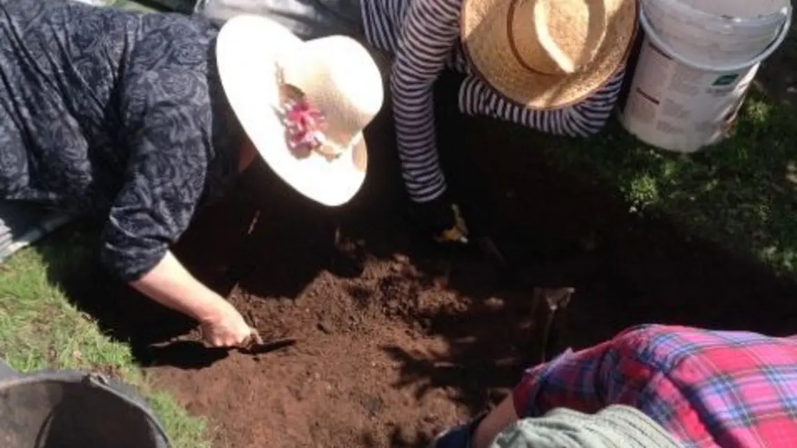 Archaeological activity at Big Dig Ewyas