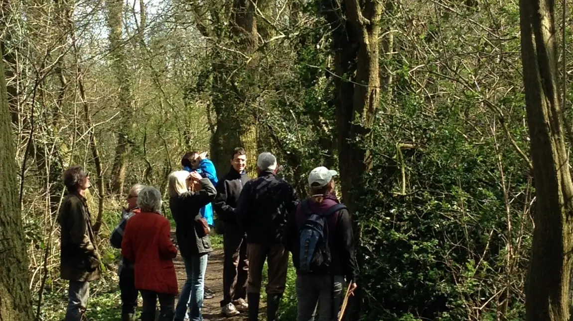 People look for birds in a wood People look for birds in a wood