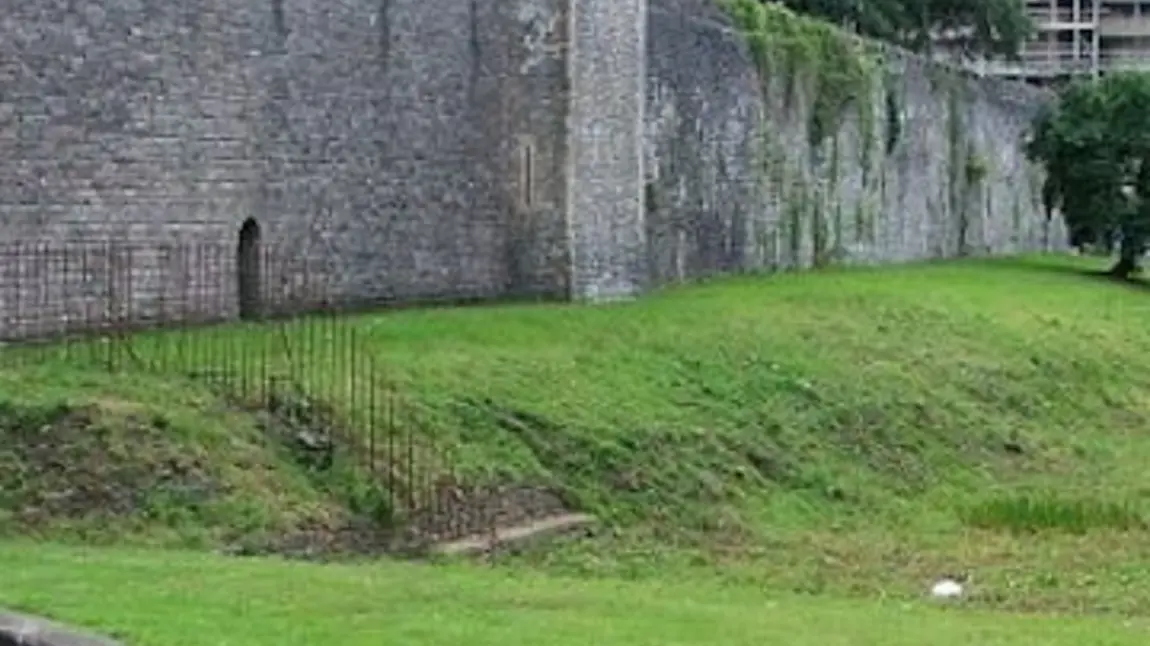 Bute Park during restoration