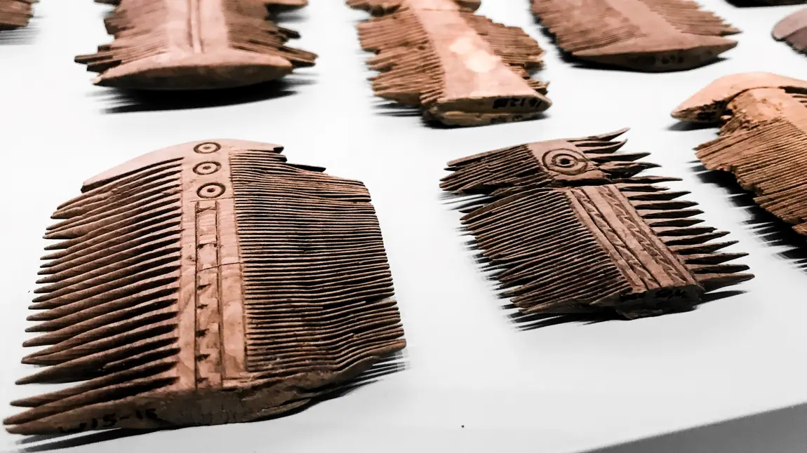 Wooden Roman combs now on display at Vindolanda