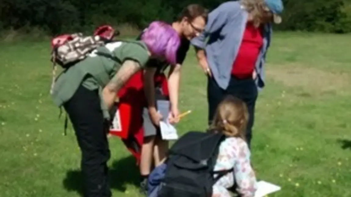 Community survey of pit top wildlife