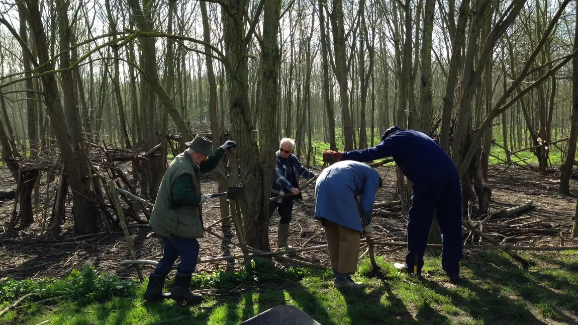 People work on a fence in a wood People work on a fence in a wood