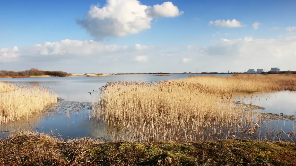 A view of Dungeness, on the South Kent coast