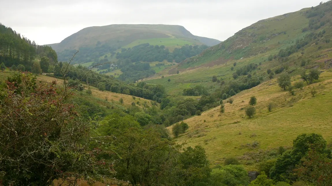 Tirwedd Gwarchodfa Natur Gilfach