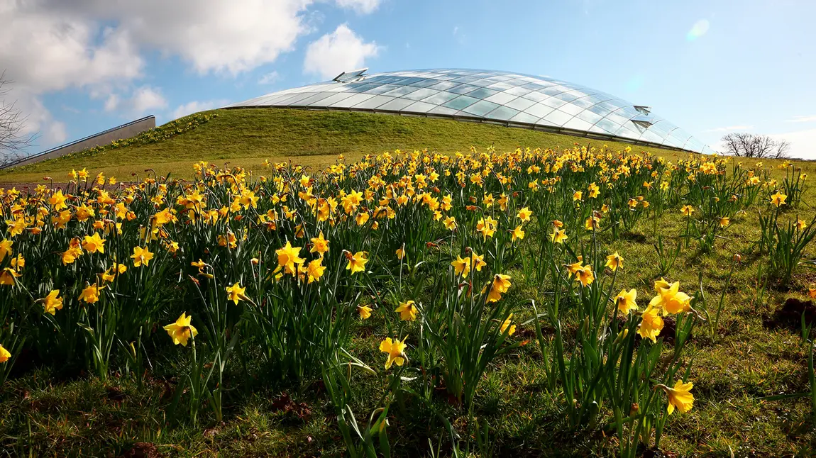 The Great Glasshouse, National Botanic Garden of Wales The Great Glasshouse, National Botanic Garden of Wales