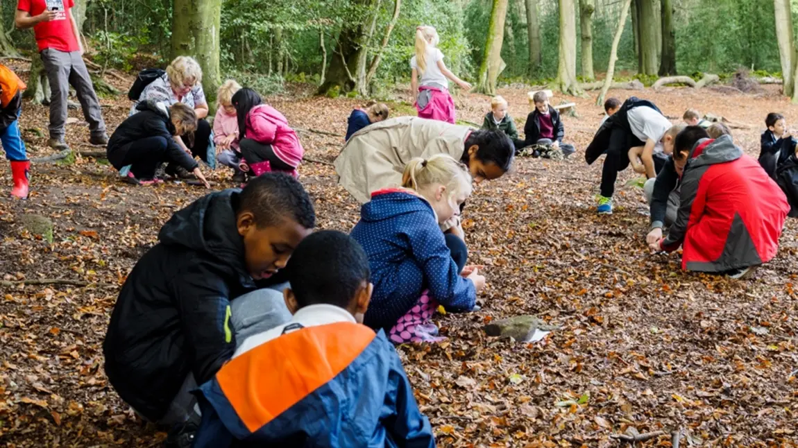 Pupils from St Thomas More Catholic Primary explore Greno Woods in Sheffield