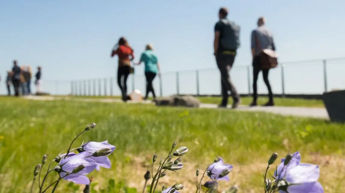 The Sill in Northumberland National Park is offering a virtual reality experience
