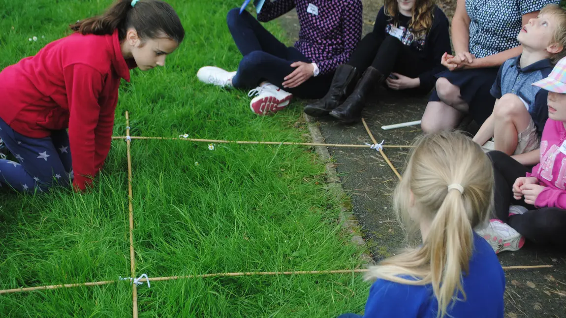 Schoolchildren surveying a patch of grass Schoolchildren surveying a patch of grass