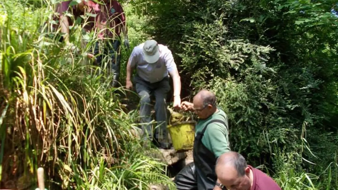 Volunteers help to clean the springs at Ninesprings