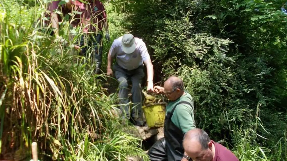 Yeovil Country Park secures Heritage Lottery Fund investment Volunteers help to clean the springs at Ninesprings